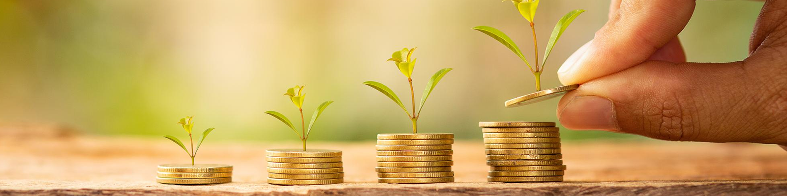 Debt Capital Market